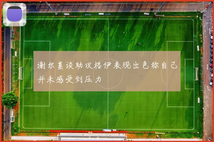 谢尔基谈助攻格伊表现出色称自己并未感受到压力
